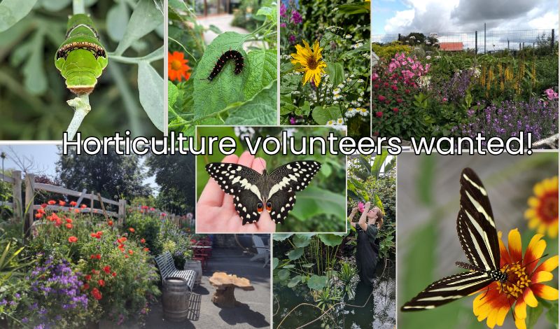 Horticulture Volunteers wanted! article image